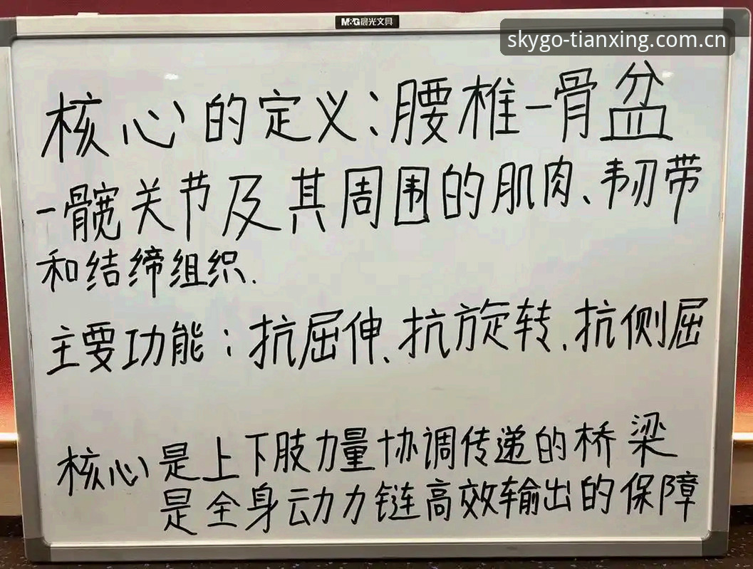 深度体验天行体育互动体验：一位资深用户的实战心得与全方位解析